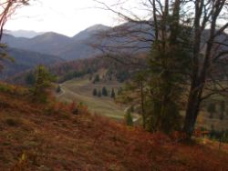 2013-10-26_Schildenstein (389).JPG